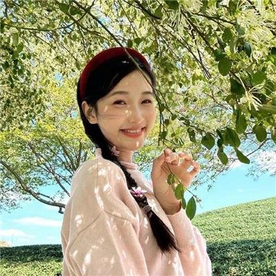 我的小狗斯齐普